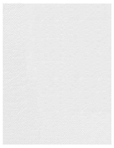 SERVIETTE OUATE 2 PLIS BLANC - 30X40 CM COLIS DE 2400