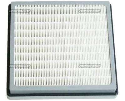 Image de FILTRE HEPA HDS1005